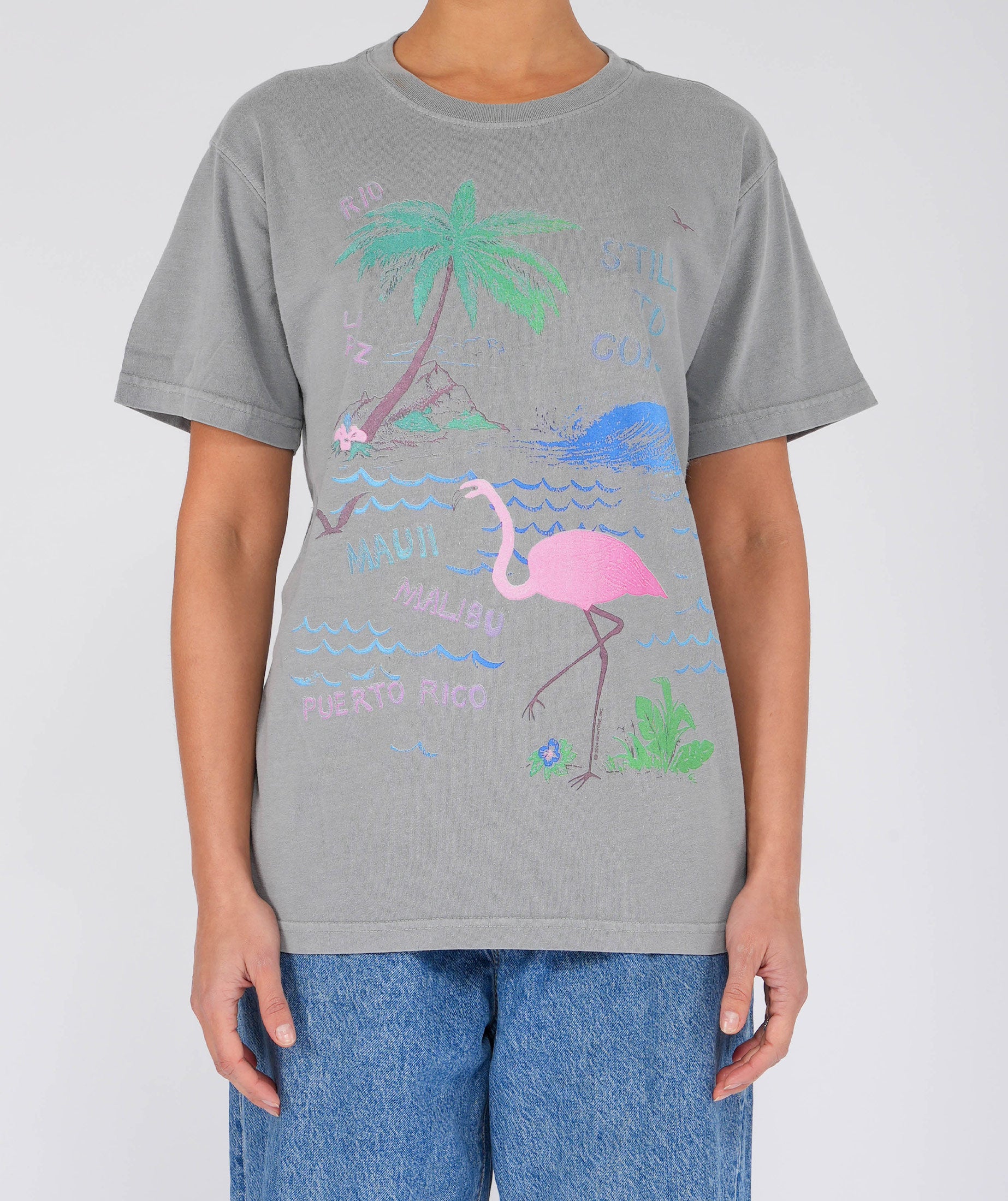 FLAMINGO" grey trucker tee shirt