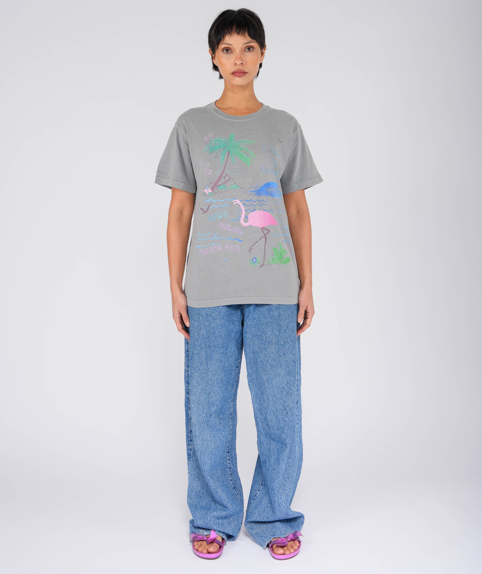FLAMINGO" grey trucker tee shirt
