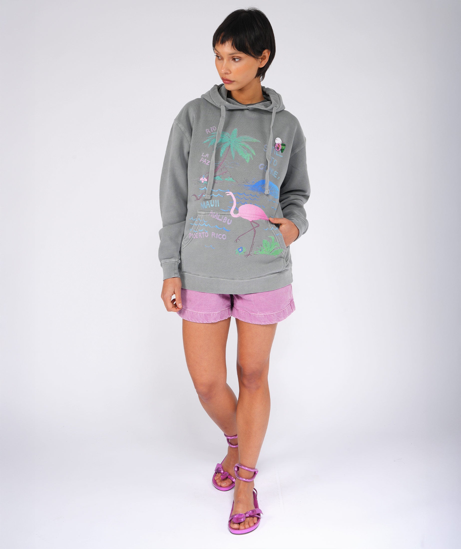 Hoodie jagger grey "FLAMINGO