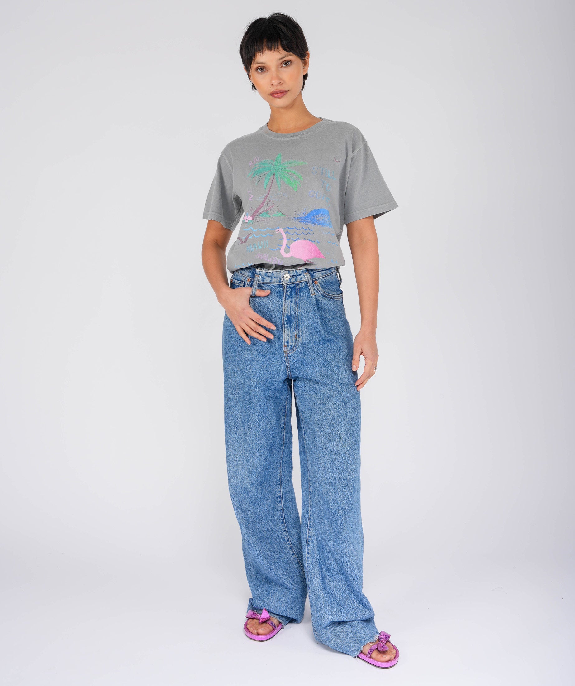 FLAMINGO" grey trucker tee shirt