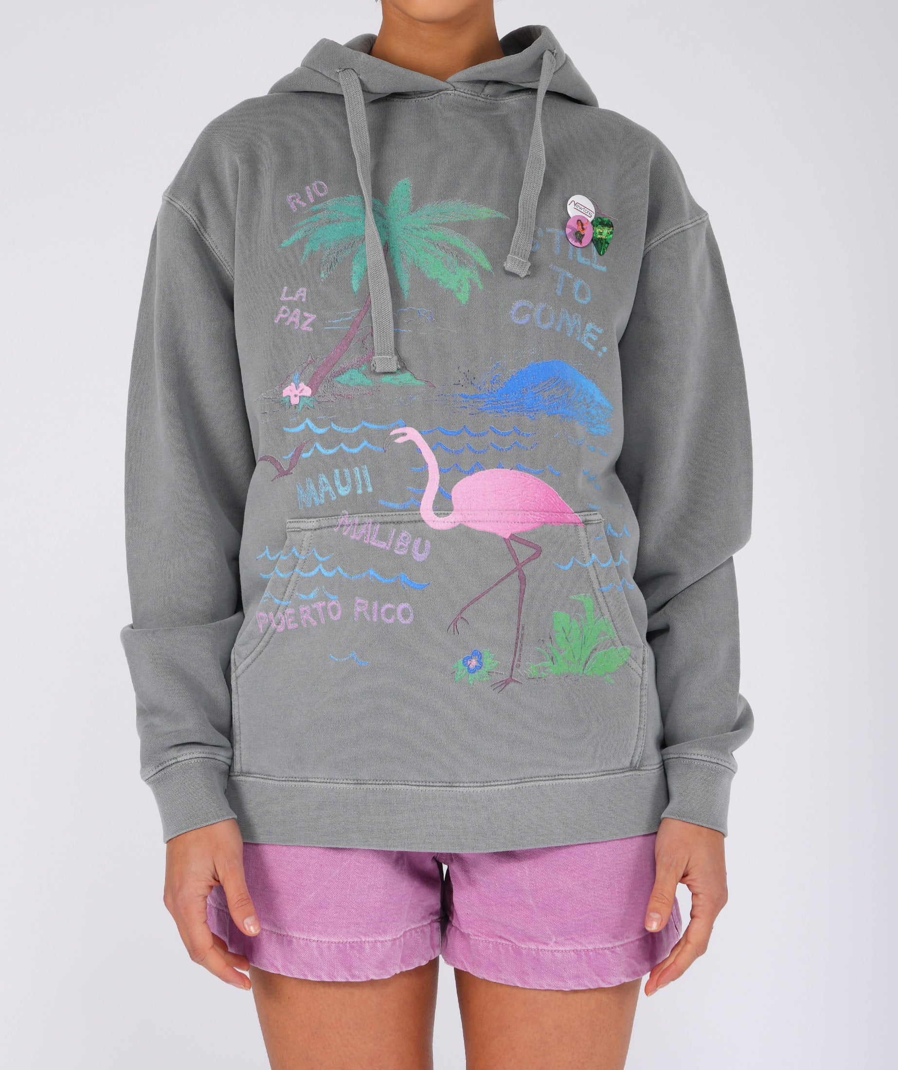 Hoodie jagger grey "FLAMINGO"