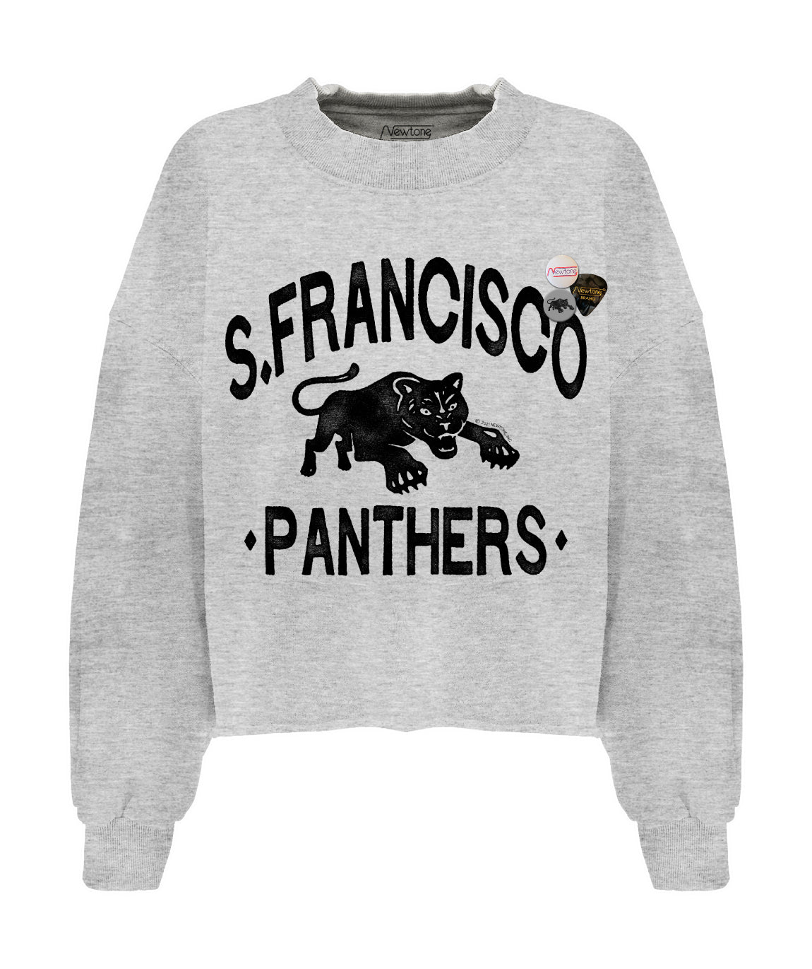Sweatshirt crop porter ash "PANTHERS"