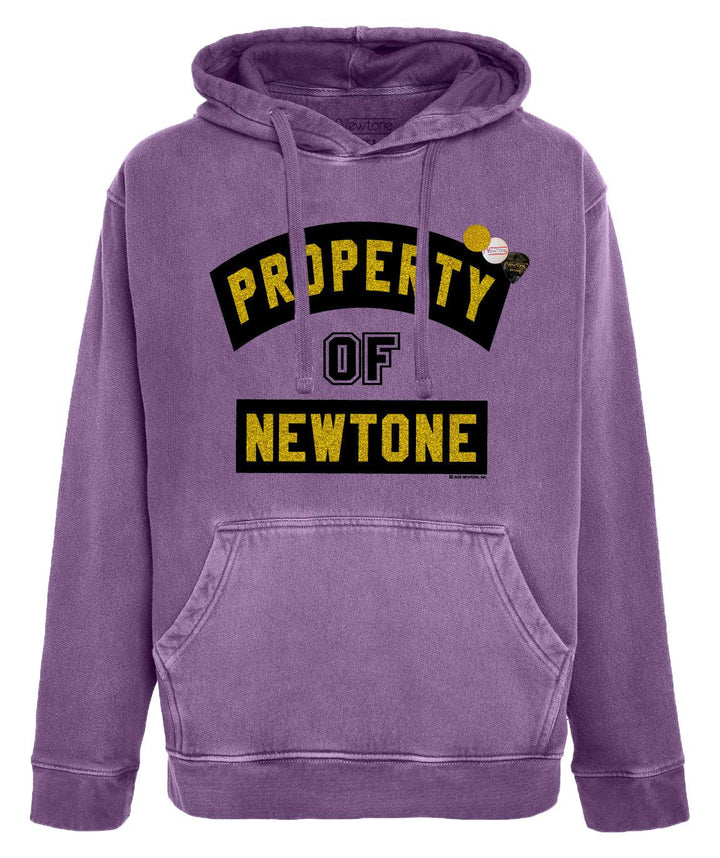 Hoodie jagger purple "PROPERTY" - Newtone